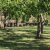 campingyuste (59)